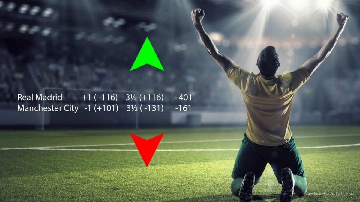Bí quyết "Bào cỏ" bền vững với tỷ lệ kèo Indonesia (Indo Odds)